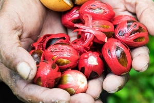 Zanzibar: Fengselsøya, Stone Town og kryddertur med lunsj