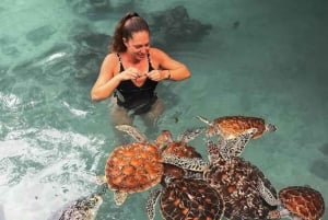 ザンジバル：ストーンタウン、プリズン島、サラーム洞窟ツアーをご案内いたします