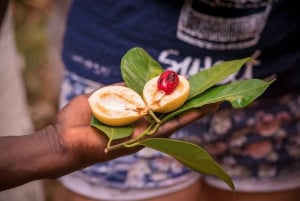 Zanzibar: Halvdagstur til fengselsøya, skilpadder og krydder