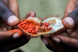 Zanzibar: Halvdagstur til fængselsøen, skildpadder og krydderier