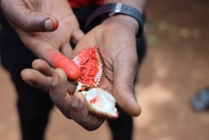 Zanzibar: Halvdagstur til fængselsøen, skildpadder og krydderier