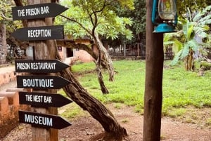 Zanzibar: Wyspa Więzienna i gigantyczne żółwie z odbiorem