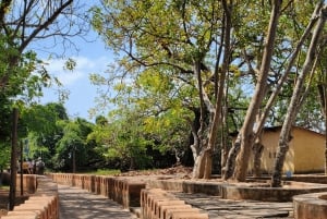 Zanzibar: Tur til fengselsøya med hurtigbåt og snorkling