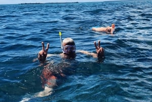 Zanzibar: Tur til fengselsøya med hurtigbåt og snorkling