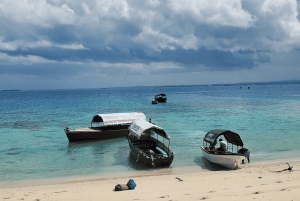 Zanzibar: Prison Island-tur med motorbåt och snorkling