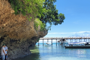Zanzibar: Prison Island-tur med motorbåt och snorkling