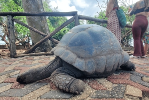 Zanzibar: Prison Island-tur med motorbåt och snorkling