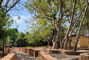 Zanzibar: Prison Island-tur med motorbåt och snorkling