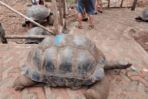 Zanzibar: Prison Island-tur med motorbåt och snorkling