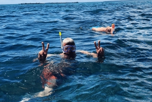 Zanzibar: Prison Island-tur med motorbåt och snorkling