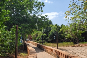 Zanzibar: Prison Island-tur med motorbåt och snorkling