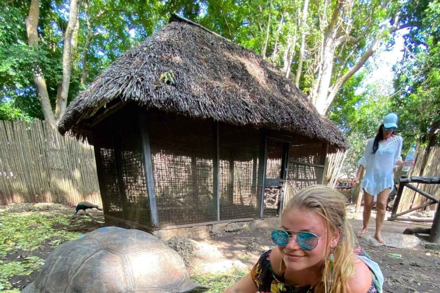 Zanzibar: Prison Island Tour with Giant Tortoises &Boat Ride
