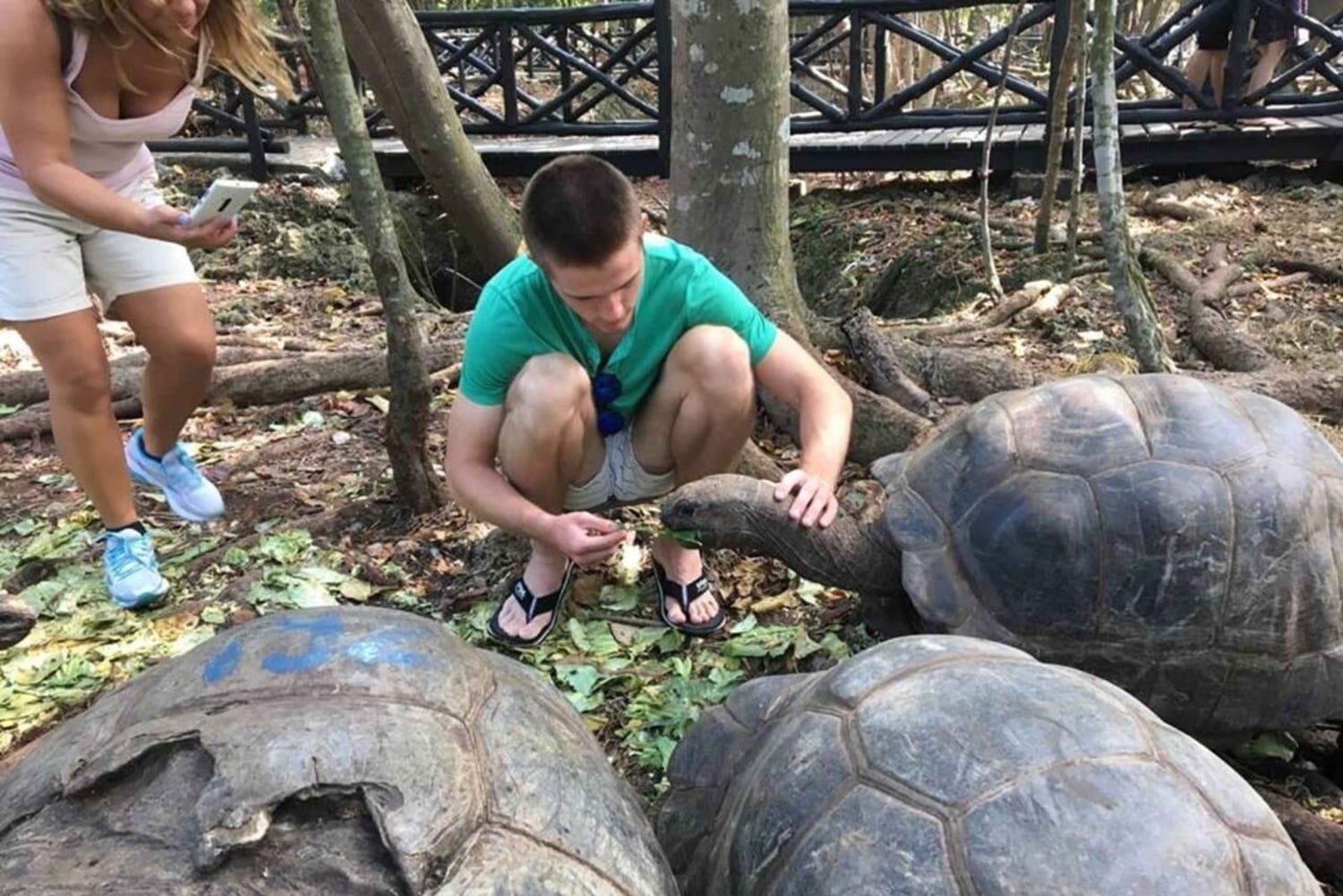 Zanzibar : excursion sur l'île Prison avec tortues géantes et tour en bateau