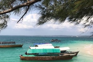 ザンジバル：ゾウガメとボート乗船付きプリズン島ツアー