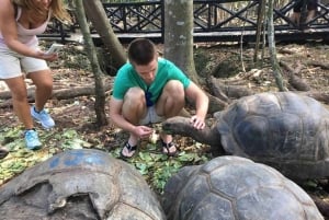 Zanzibar : excursion sur l'île Prison avec tortues géantes et tour en bateau