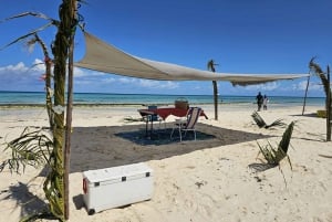 Zanzibar: Prison Island Tour with Lunch on the Sandbank