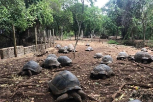 Sansibar: Tour zur Gefängnisinsel mit Schildkrötenreservat
