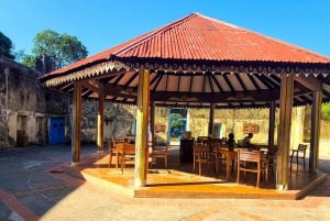 Zanzibar: Wyspa Więzienna i gigantyczne żółwie z odbiorem