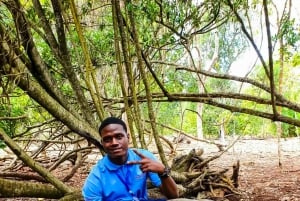 Zanzibar: Wyspa Więzienna i gigantyczne żółwie z odbiorem