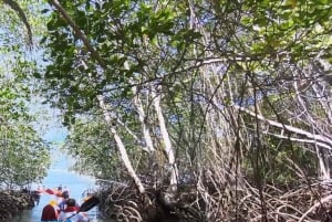 ЗАНЗИБАР: Посещение острова-тюрьмы и каякинг по мангровым зарослям Узи