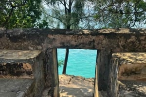 ЗАНЗИБАР: Посещение острова-тюрьмы и каякинг по мангровым зарослям Узи