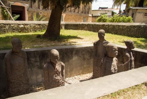 ザンジバル：ストーンタウンへの専用空港送迎