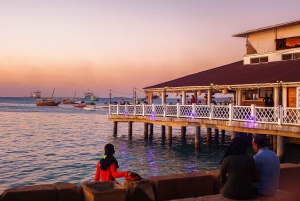 ザンジバル：ストーンタウンへの専用空港送迎