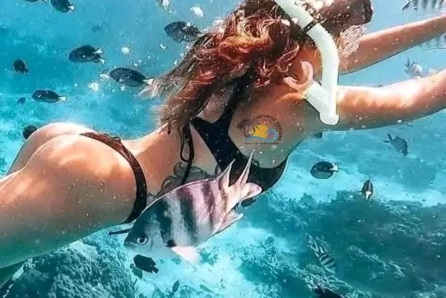 Zanzibar : plongée privée dans le lagon bleu et nage avec les étoiles de mer