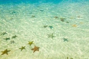 Zanzibar: Yksityinen sininen laguuni ja meritähtien snorklausretki