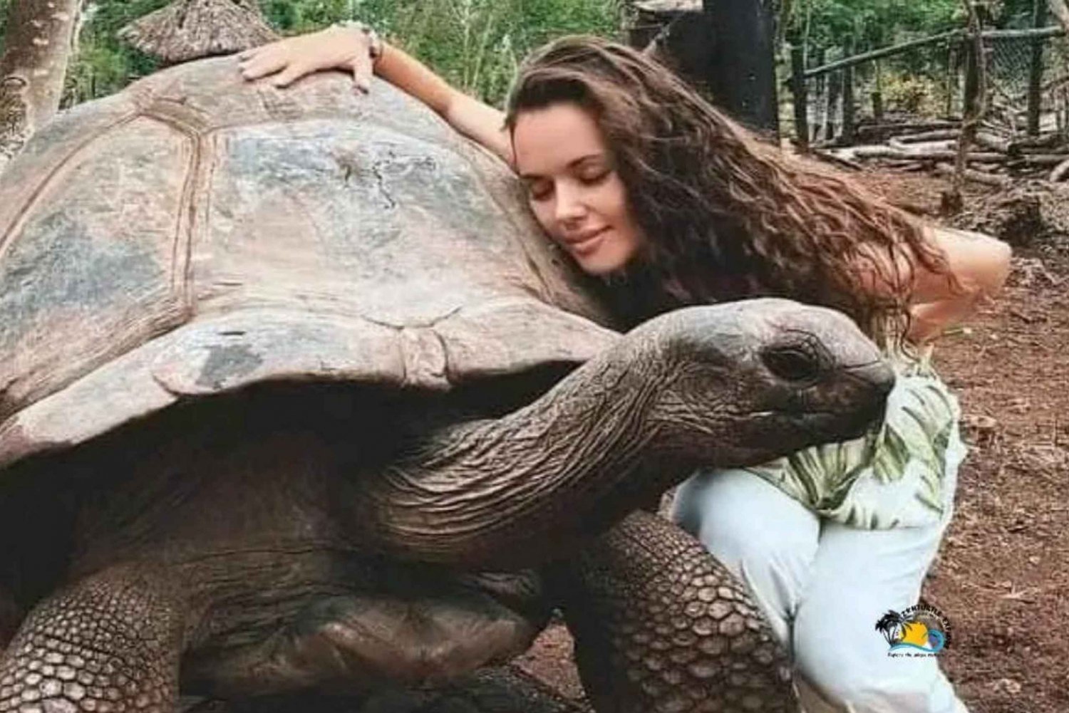 Sansibar: Prison Island und Nakupenda Sandbank mit Mittagessen