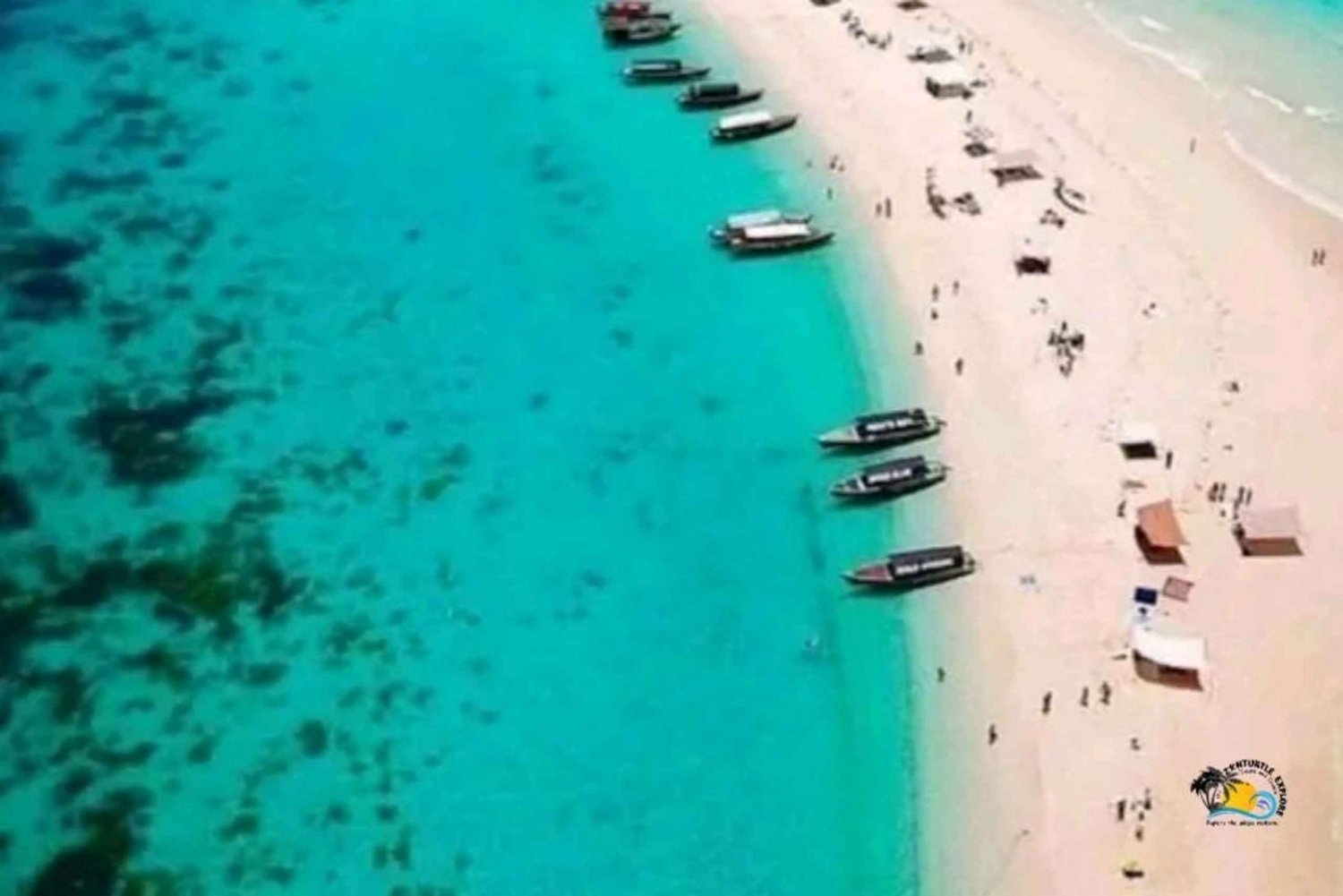 Sansibar: Prison Island und Nakupenda Sandbank mit Mittagessen