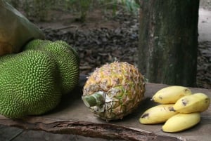 Zanzibar: tour privato di mezza giornata dei frutti tropicali e delle spezie