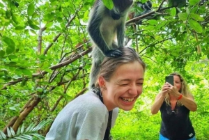 Zanzibar : forêt privée de Jozani, papillons et tortues