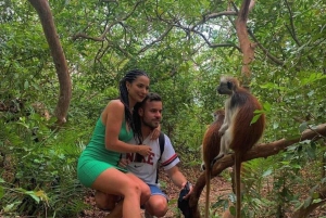 Zanzibar : forêt privée de Jozani, papillons et tortues