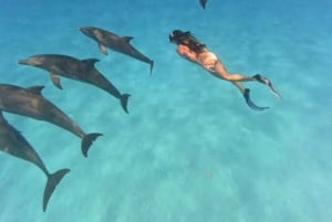 Zanzibar: Yksityinen Mnemban delfiinisafari ja kilpikonnien kanssa uiminen