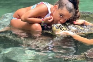 Zanzibar: Yksityinen Mnemban delfiinisafari ja kilpikonnien kanssa uiminen