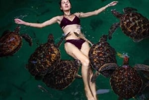 Zanzibar: Yksityinen Mnemban delfiinisafari ja kilpikonnien kanssa uiminen