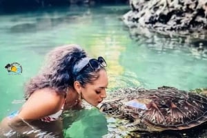 Zanzibar: Yksityinen Mnemban delfiinisafari ja kilpikonnien kanssa uiminen