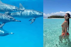 Zanzibar: Privat delfinsafari og snorkling ved Mnemba