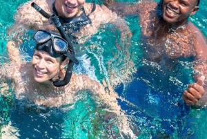 Zanzibar: Privat delfinsafari og snorkling ved Mnemba