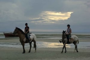 Zanzibar: Private Mnemba Island, Jozani and Horseriding Tour