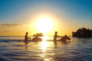 Zanzibar: privé-eiland Mnemba, Jozani en paardrijtocht