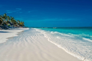 Zanzibar: Prywatna wyspa Mnemba, Jozani i wycieczka konna