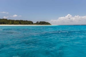 Занзибар: частный тур на песчаную отмель Накупенда и сноркелинг