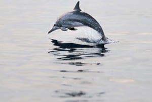 Zanzibar: prywatna sesja zdjęciowa z profesjonalnym fotografem