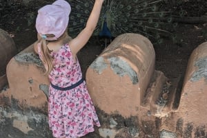 Sansibar: Private Tour zur Gefängnisinsel & Schildkröten