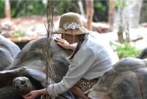 Sansibar: Private Tour zur Gefängnisinsel & Schildkröten