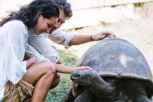 Sansibar: Private Tour zur Gefängnisinsel & Schildkröten