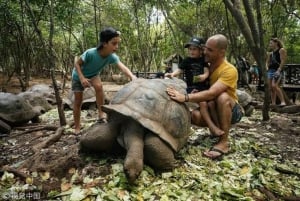 Sansibar: Private Tour zur Gefängnisinsel & Schildkröten