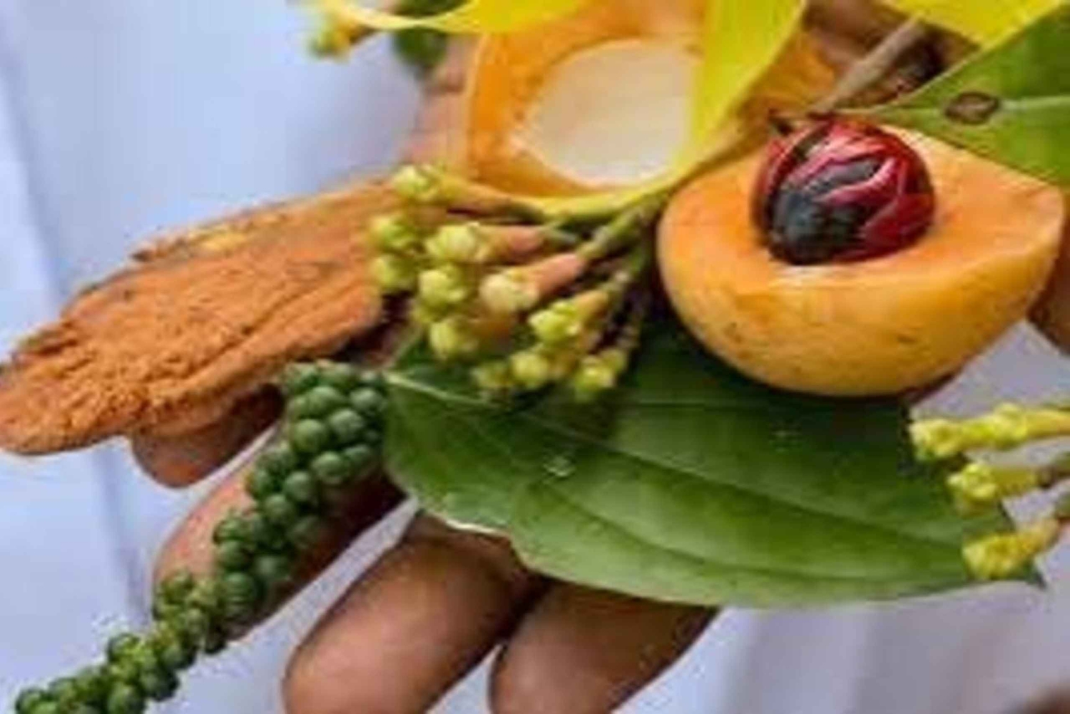 Sansibar: Private Gewürzfarm- & Stone Town-Tour mit Guide